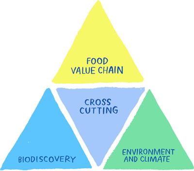 Catalyzing progress in the blue economy through joint marine microbiome research across the Atlantic